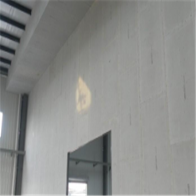 公主岭宁波ALC板|EPS加气板隔墙与混凝土整浇联接的实验研讨